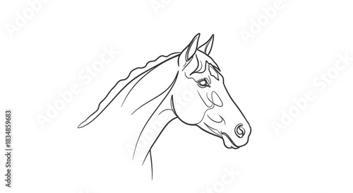 Elegantly stylized horse head drawing showcases grace and simplicity with fine black lines