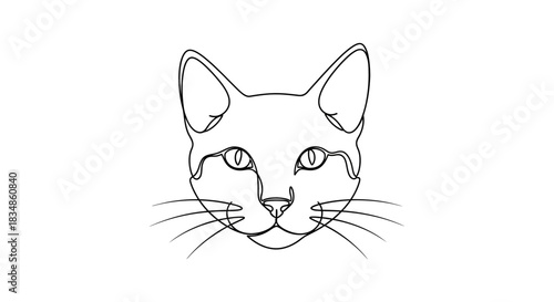 Minimalist feline portrait showcasing elegance, simplicity, and artistic abstraction