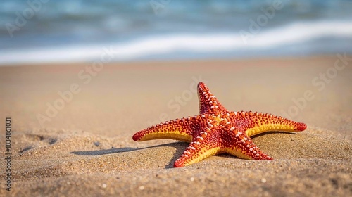 Starfish's Beach Embrace: A vibrant starfish finds its serene haven on a sun-kissed beach, with gentle waves murmuring in the background.