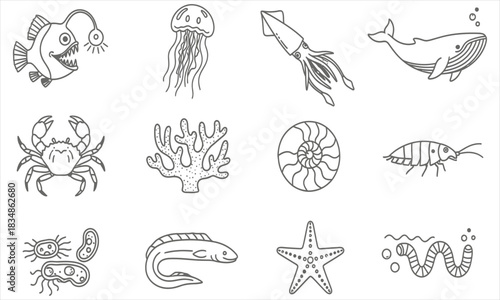 Outline Vector Collection of Diverse Sea Creatures and Ocean Animals, Minimalist Marine Life Illustrations for Design Projects