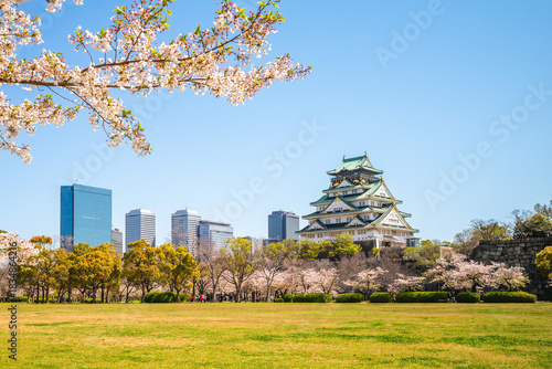 Nishinomaru garden and Osaka Castle located at Osaka, Kansai, Japan