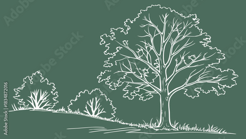 Elegant tree line art illustration, perfect for nature designs, landscaping visuals, or botanical themes, adding a touch of organic style to any project
