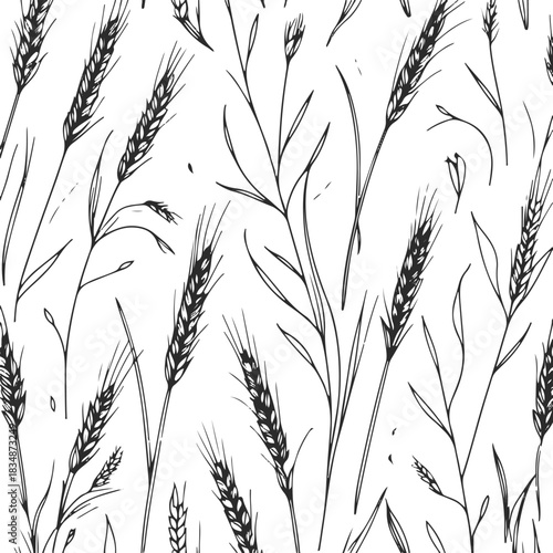 Thin black line art seamless pattern using wheat stalks, grains and farm botanical shapes, rustic minimal style, white background