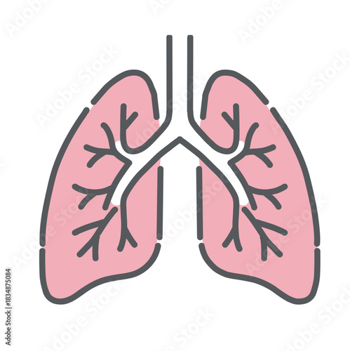 肺（はい）のイラスト