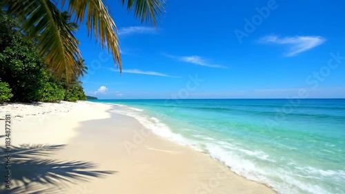 Wallpaper Mural Tropical beach paradise white sand, turquoise water, palm shadows Torontodigital.ca