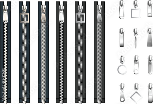 Collection of Fish Skeletons and X-ray Style Bone Illustrations