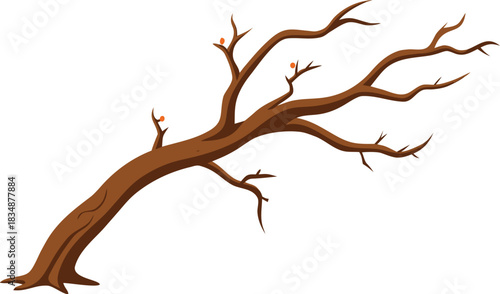 Illustration of a bare gnarled tree branch against a white background