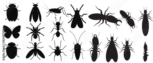 Black Silhouettes of Various Insects and Bugs Collection