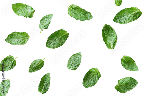 Fresh green mint leaves scattered on a clean white background. their color and texture. ideal for culinary. health. or natural product use
