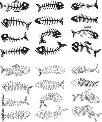 Set of Detailed Hand-Drawn Fish Skeletons