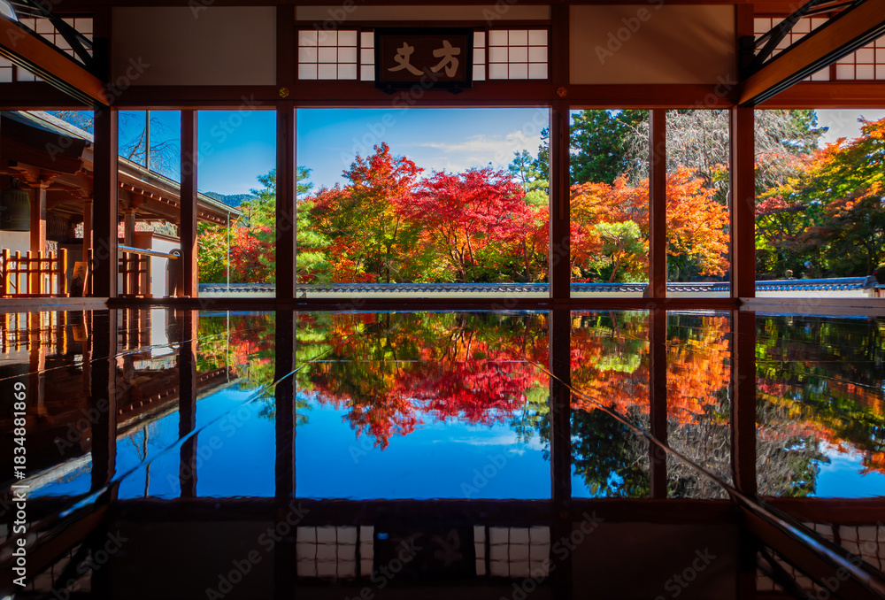 Φωτογραφία 秋の群馬県・宝徳寺で見た、床に映り込む色鮮やかな紅葉