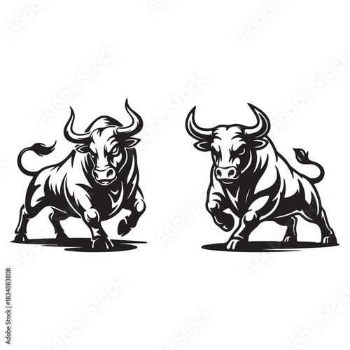 Two charging bulls in black and white silhouette Keywords: bull, bulls, charging, aggressive