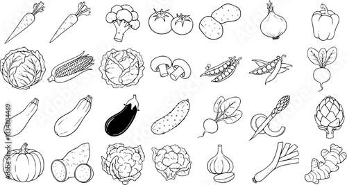 Hand-drawn Outline Vector Set: Fresh Vegetables  Produce. A diverse collection of organic farm food illustrations including carrots, cabbage, broccoli, corn, pumpkin, garlic.