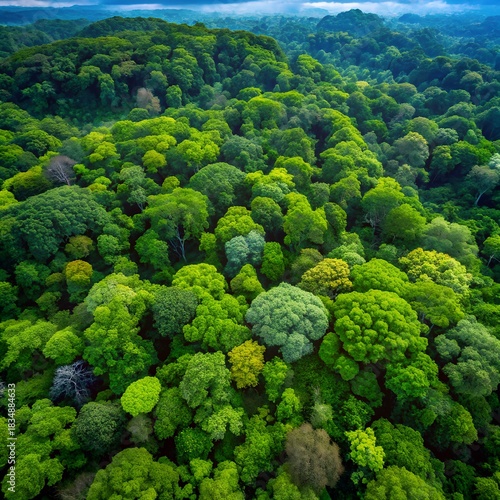 Aerial view of dense, lush green tropical rainforest canopy from above