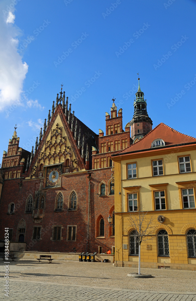 Fototapeta premium Town Hall and the tenement vertical - Wroclaw, Poland