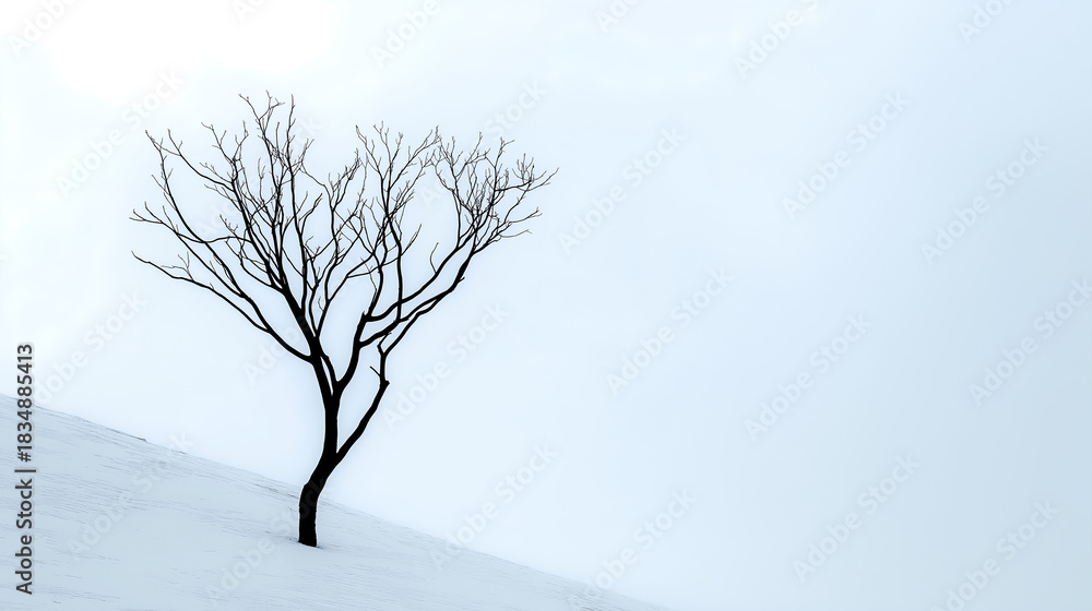 Obraz premium Silhouette of a single bare tree on a snow covered hill in a minimalist winter landscape with copy space