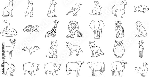 Diverse black and white line art collection of various animals, including mammals, birds, reptiles, and fish, perfect for children's books or educational materials.