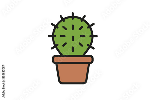Minimalist green cactus houseplant in a brown terracotta pot isolated on white background