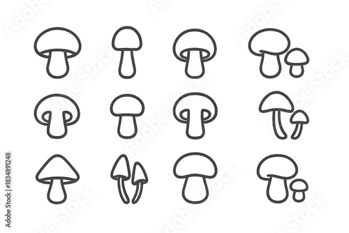 Linear fungi symbols set featuring whole mushrooms and detailed cross section views