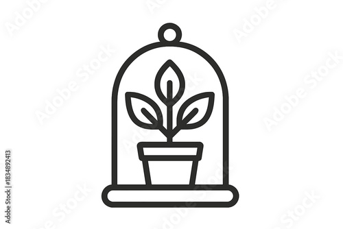 Small potted seedling growing safely inside a protective glass dome cloche