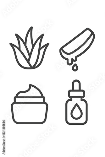 Aloe vera plant and natural cosmetic product symbols for skincare and beauty