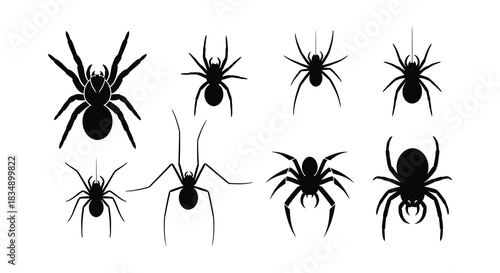 A collection of black spider silhouettes displayed on a pure white background