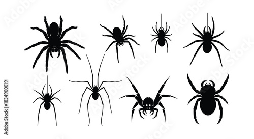 A collection of black spider silhouettes displayed on a pure white background