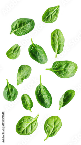 A collection of fresh. spinach leaves scattered artistically on a clean white background. their natural texture and color. ideal for culinary or health-related visuals