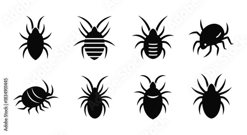 Collection of black silhouette spider and insect vector icons displayed together