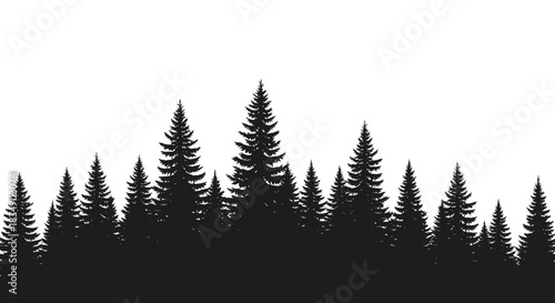 Silhouette of Evergreen Trees Against a White Sky.