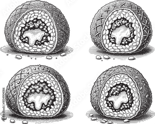 Vintage engraved Italian arancini rice ball icon set featuring cut-open cheesy filling texture and classic Sicilian culinary style
