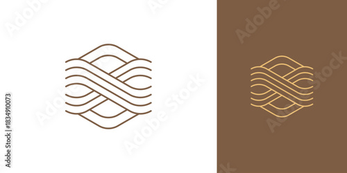 Elegant Minimalist Modern Hexagon Golden Symmetrical Logo Template