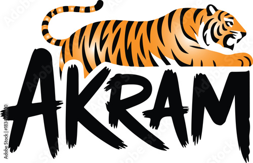 Tiger vector illustration with stripes wildlife cartoon animal isolated nature safari