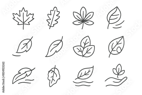 Leaf icon oak vector floating icons pile dew hand holding maple autumn