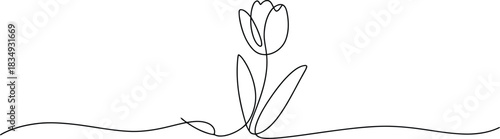 Minimalist continuous line drawing of a simple tulip flower with stem and leaves on a clean white background