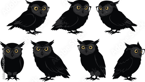 Stylish illustration of black owls wearing eyeglasses, symbolizing intelligence, wisdom, and knowledge, creative nocturnal bird concept design for education