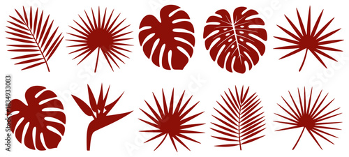 Collection of Red Tropical Leaves and Bird of Paradise Flower Silhouettes