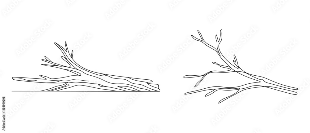 Fototapeta premium Twig Branches Isolated on White Background