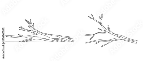 Minimalist Tree Branches Line Art Two Isolated Driftwood Pieces Vector Graphic