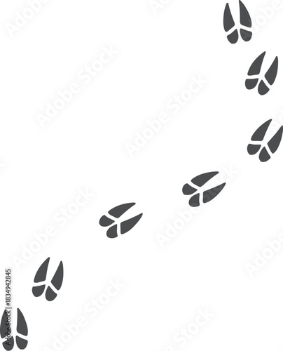 Illustrative graphic featuring a graceful curve of distinct animal hoof prints on a clean white background, symbolizing a journey, wilderness path, or subtle wildlife presence in nature
