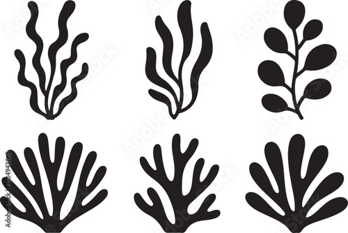 Seaweed set silhouette different shapes line art style marine plant aquatic plant bottom plants