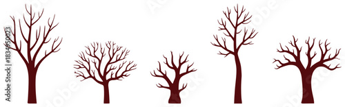 Collection of five bare deciduous trees in silhouette, isolated on white