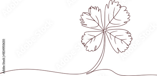 Minimalist Line Art of a Four-Leaf Clover on a White Background
