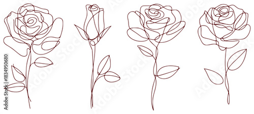 Minimalist Line Art Roses A Collection of Four Elegant Floral Designs