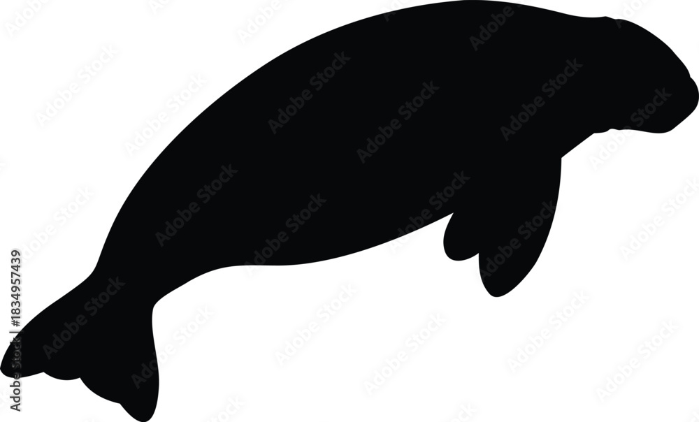 Obraz premium A sleek black silhouette of a manatee gracefully swimming through clear waters high-quality