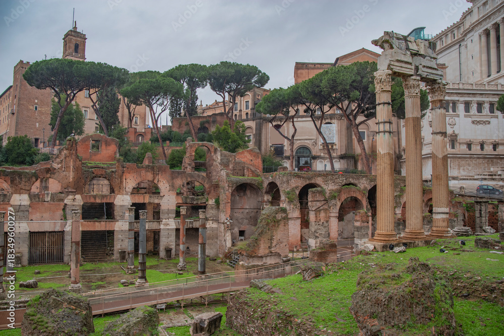 Fototapeta premium the forum of ancient Rome along with adjacent buildings