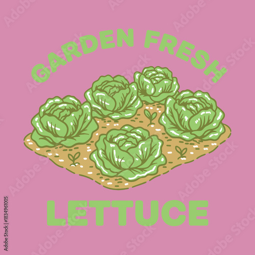 Vintage Doodle Art: Hand-Drawn Design of Five Fresh Lettuce Heads Growing in a Garden Patch, Vector Poster and T-Shirt Graphic