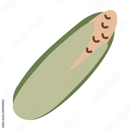 Corn on the cob, fresh maize vegetable, yellow kernels, green husk, organic farm harvest, healthy food ingredient, natural agriculture crop, sweet summer produce. Vector illustration in modern flat