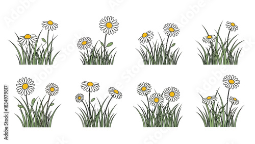 Charming Cartoon Daisy Flower Clipart Collection with Grass Tufts on White Background