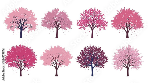 Collection of beautiful cherry blossom trees with different shades of pink and purple